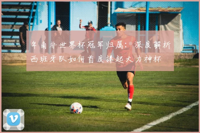 年南非世界杯冠军归属：深度解析西班牙队如何首度捧起大力神杯