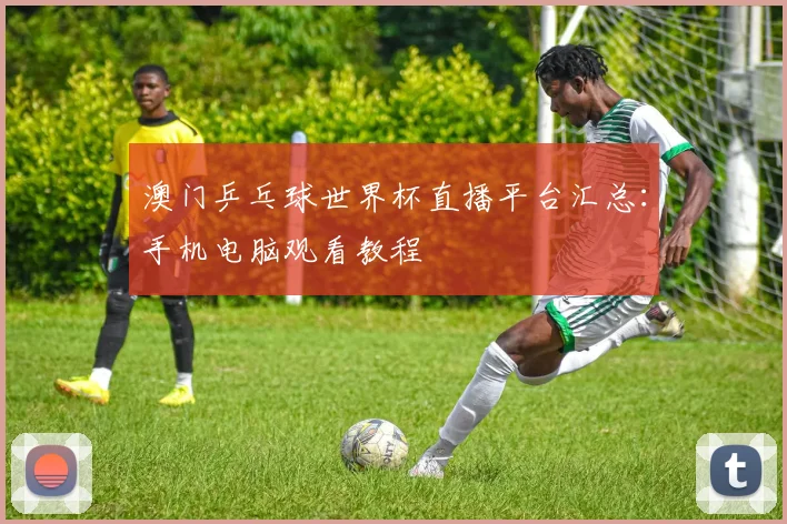 澳门乒乓球世界杯直播平台汇总：手机电脑观看教程