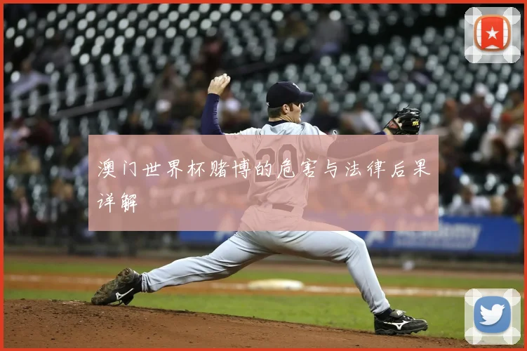 澳门世界杯赌博的危害与法律后果详解