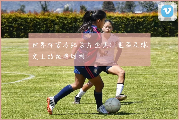 世界杯官方纪录片全集：重温足球史上的经典时刻